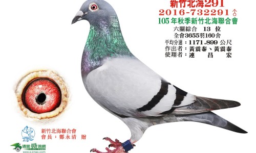 甲钴胺片的功效和作用不良反应是-甲钴胺片说明书和服用不适症状网—知名的甲钴胺片说明书和服用不适症状有区别吗网站,分享甲钴胺片的功效和作用不良反应是知识