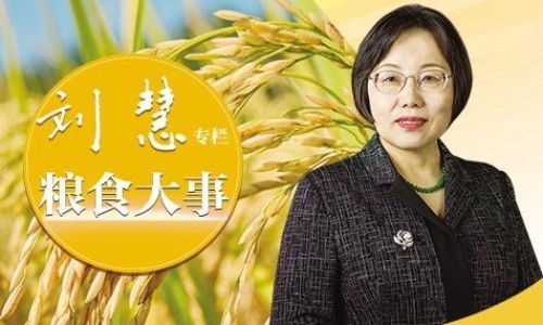 甲钴胺片的药效-甲钴胺片说明书和服用不适症状网—知名的甲钴胺片说明书和服用不适症状有区别吗网站,分享甲钴胺片的功效和作用不良反应是知识