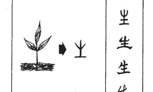 甲钴胺片说明书和服用不适症状有区别吗-甲钴胺片说明书和服用不适症状网—知名的甲钴胺片说明书和服用不适症状有区别吗网站,分享甲钴胺片的功效和作用不良反应是知识